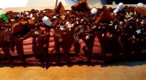 Photo d'une bûche de Noël végétalienne crue